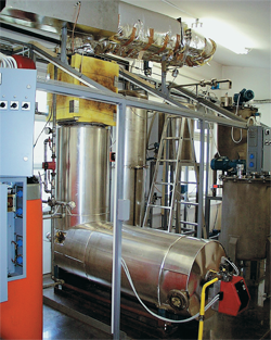 A system for the control of the selective catalytic reduction of NOx