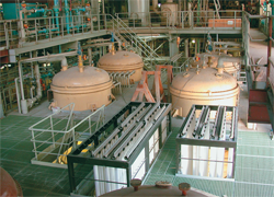 A prototype of a system for batch scheduling in the process of gel washing in Cinkarna
